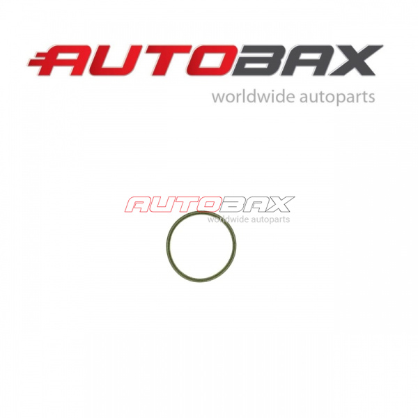 O-Ring VolksWagen Phaeton 2002>