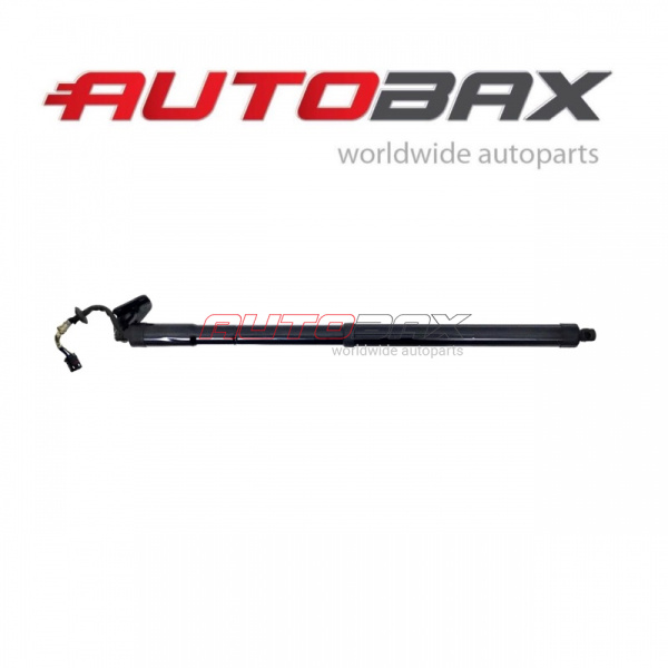 Door/Tailgate Strut Nissan Pathfinder (R52) 2014>