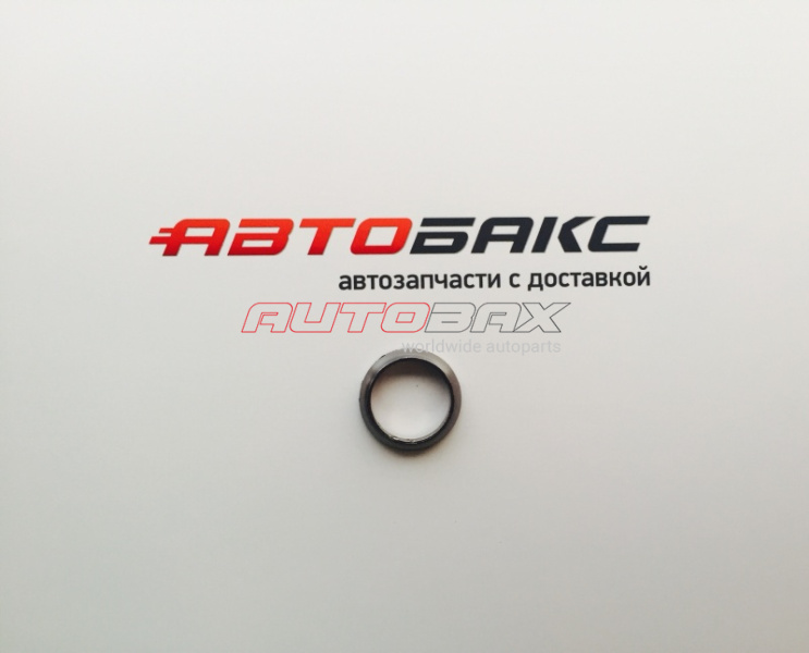 Muffler Seal Ring Qashqai (J10) 2006>2014