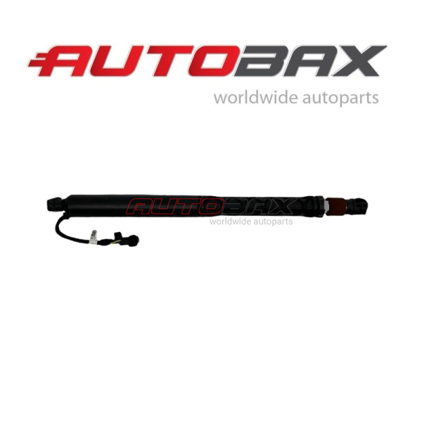 Door/Tailgate Strut BMW X5 (G05) 2018>