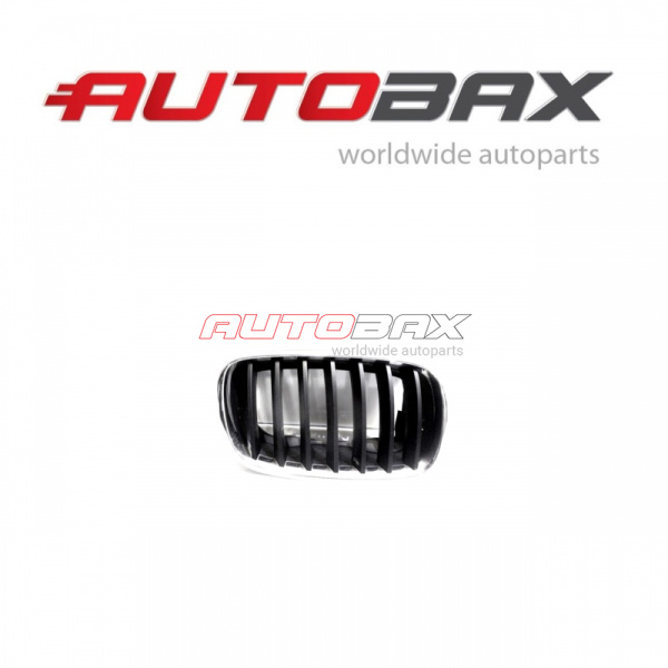 Radiator Grille BMW X5 (E70) 2007>2013