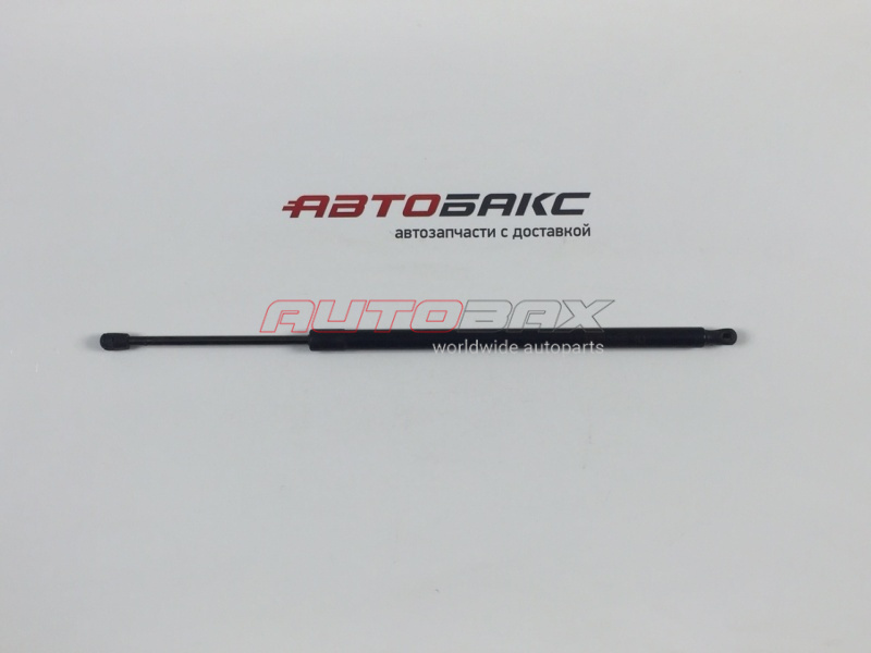 Door/Tailgate Strut Explorer V 2010>