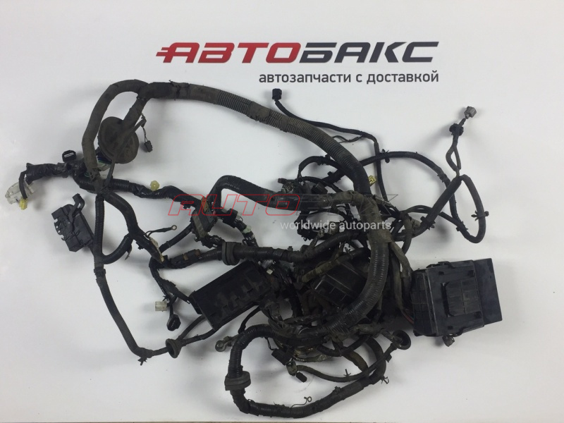 Engine Compartment Wiring Harness M-35/45 (Y50) 2004>2009