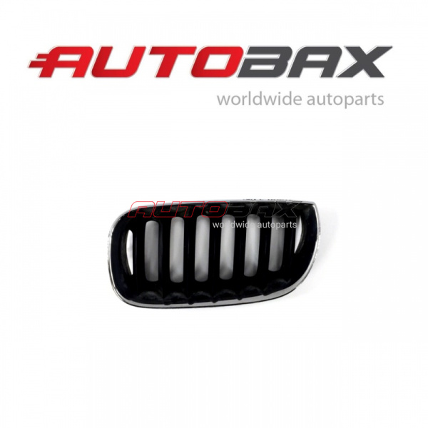 Radiator Grille BMW X3 (E83) 2004>2010