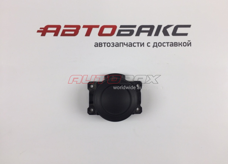 Grille/Fog Light Bezel ASX 2010>