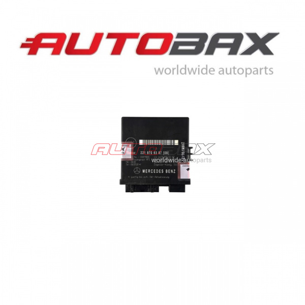 Electronic Control Unit (general) Mercedes Benz S-Class (W221) 2005>2013