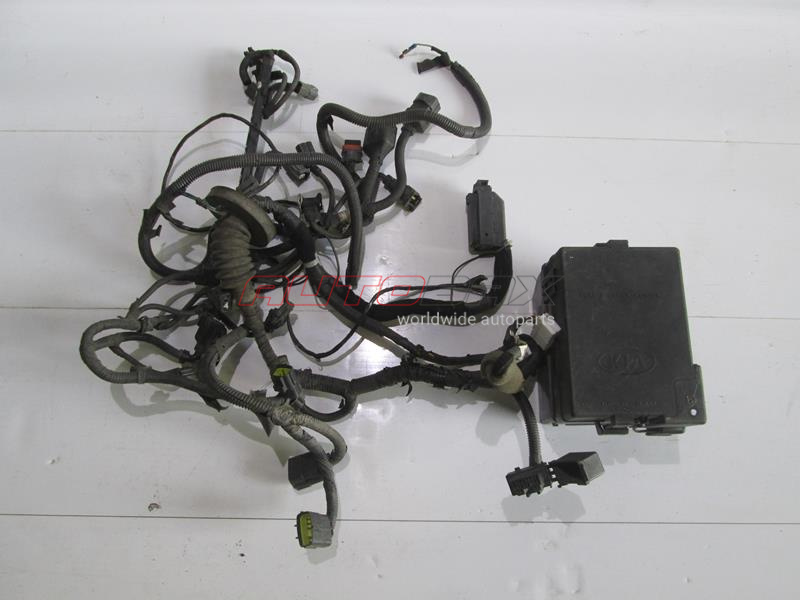 Engine Compartment Wiring Harness Spectra 2001>