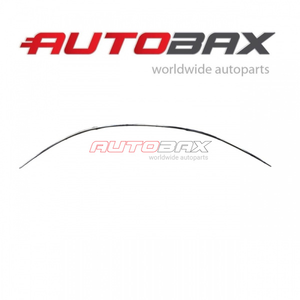 Left Roof Molding Audi A6 (C7) 2011>2018