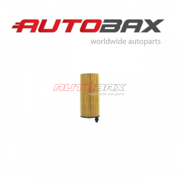 Oil Filter BMW 6-Series (F06/F12/F13) 2011>