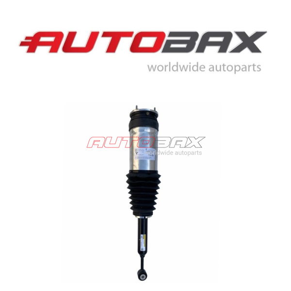 Shock Absorber Rear Tesla Model X 2015>
