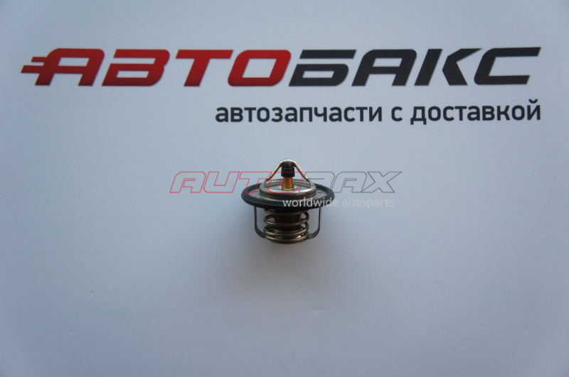 Thermostat/Thermostat Housing Teana (J31) 2003>2008