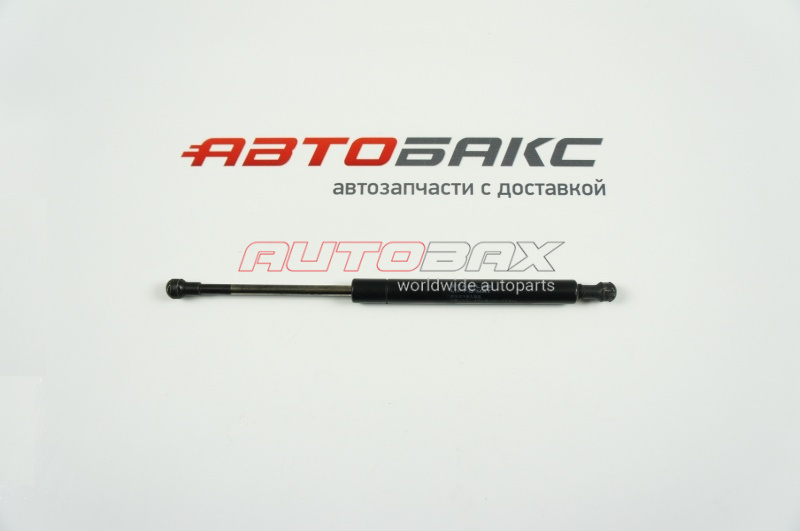 Door/Tailgate Strut GS 2005>2012