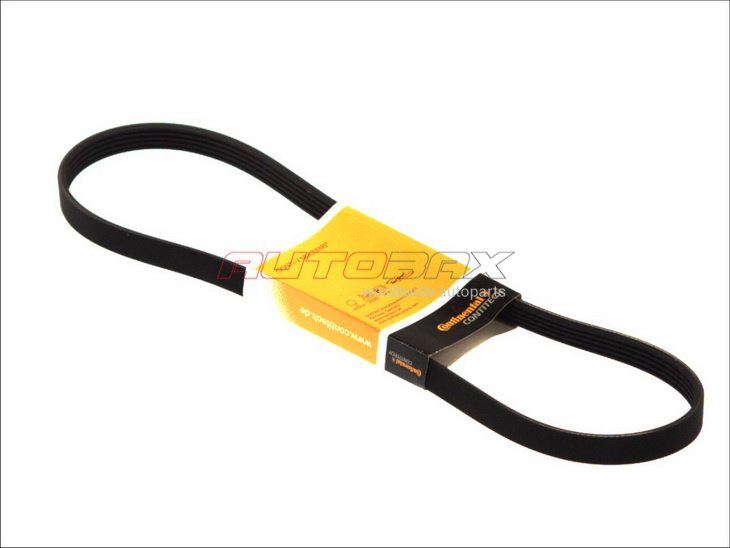 Drive Belt Focus II 2005>2011