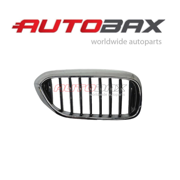 Radiator Grille BMW 5-series (G30/G31) 2017>