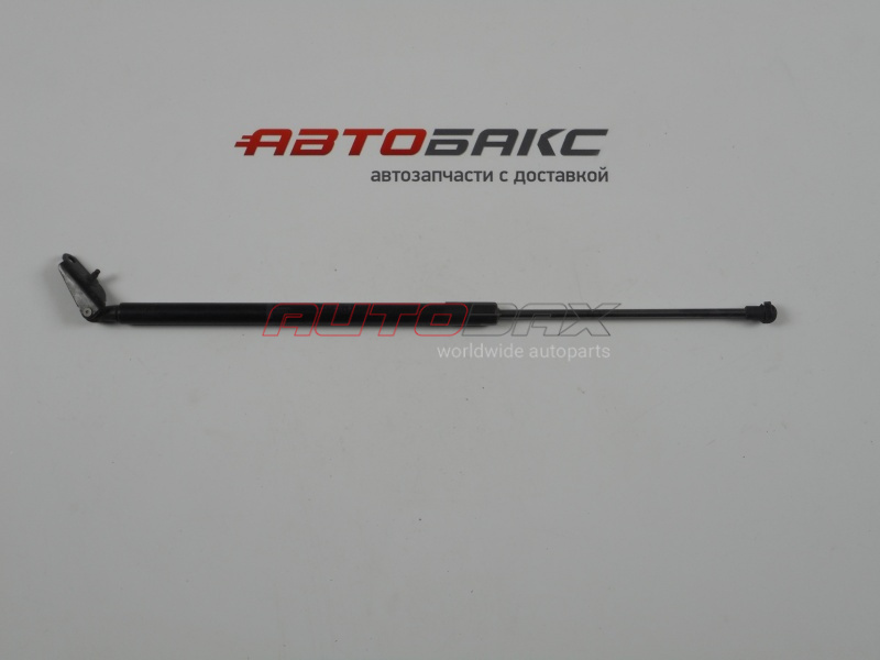 Door/Tailgate Strut X-Trail (T31) 2007>2014