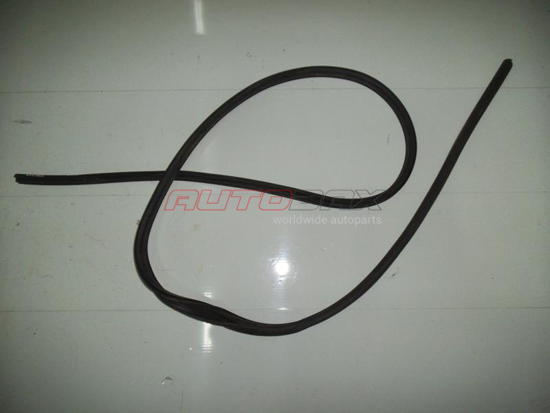 Door Opening Seal X-Trail (T31) 2007>2014