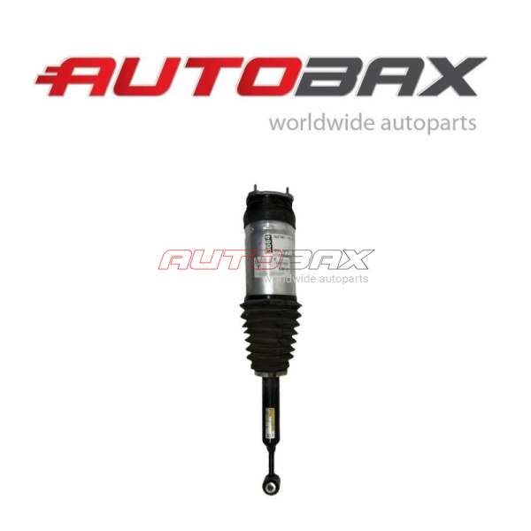 Shock Absorber Rear Tesla Model X 2015>