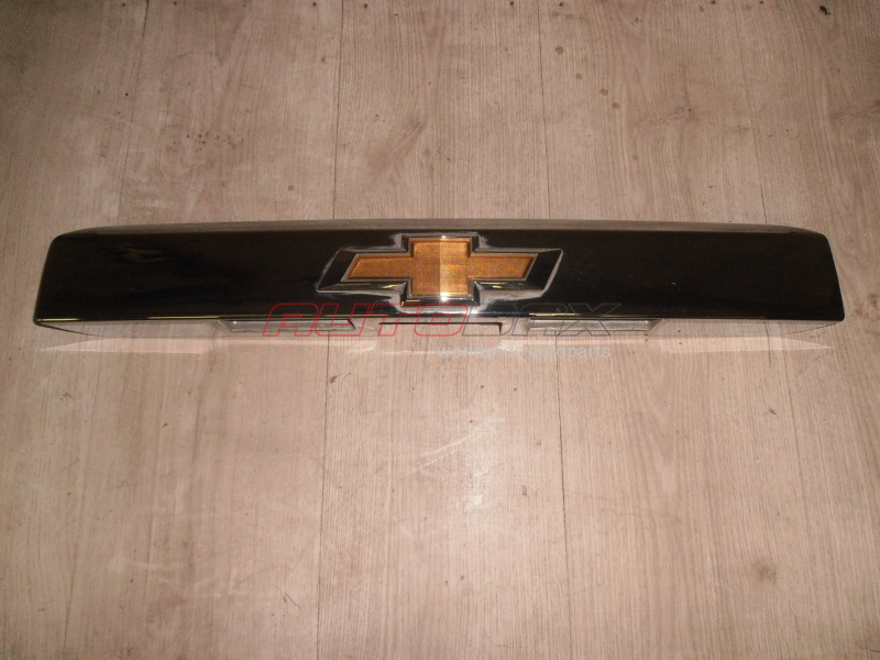 Door/Tailgate Molding/Trim Orlando 2011>