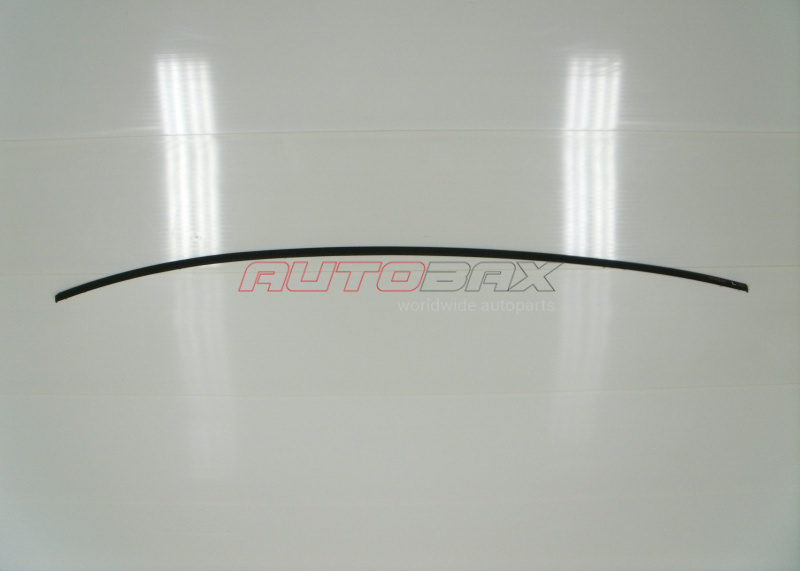 Roof Molding Left Rio 2011>