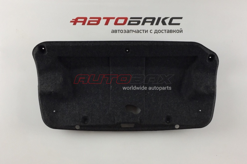 Door/Tailgate Trim Panel Lancer X (CY) 2007>
